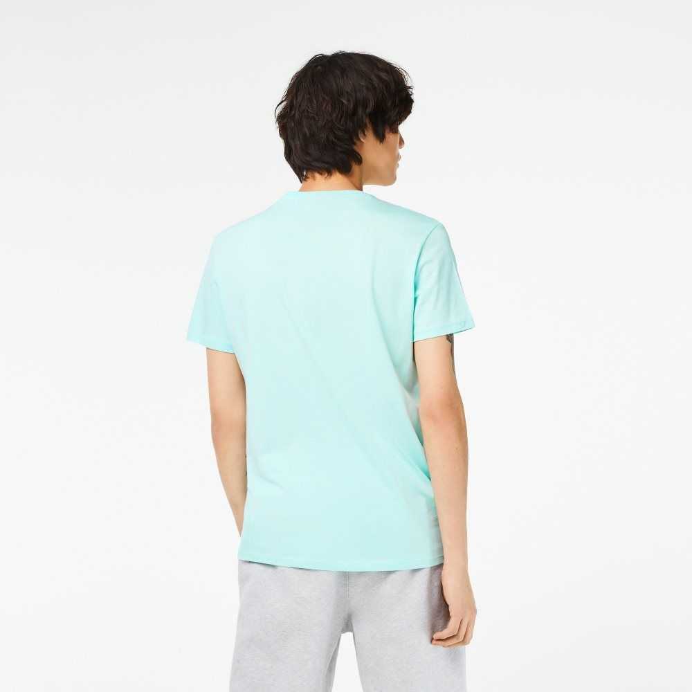 Lacoste V-Neck Pima Algodon Jersey Verde Menta | 9136-TYHCE